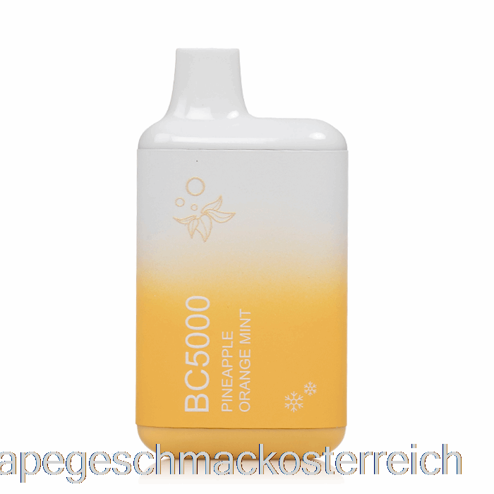 BC5000 Einweg-Ananas-Orange-Minze-Vape-Geschmack